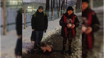 У Києві під час атаки «Кинджалами» двох дітей не пустили в шкільне укриття через собаку