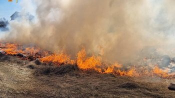 Майже сотню пожеж через спалення сухостою гасили учора на Львівщині