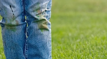 Плями трави