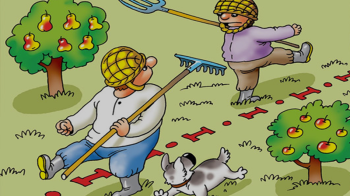 Розуміння закону про межі між сусідами та будівельні норми