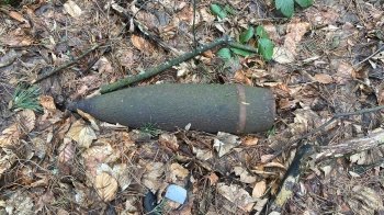 На околиці Львова під час прогулянки лісом натрапили на застарілий боєприпас (фото)