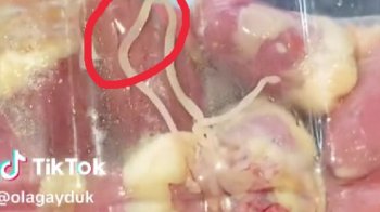 Скріншот відео із тіктоку, де видно глиста