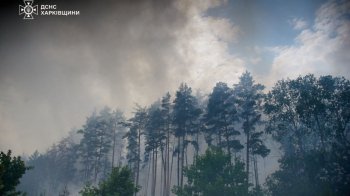 пожежа на Харківщині