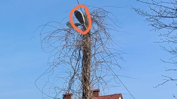 Лампа викликає запаморочення: львів’яни просять полагодити вуличне освітлення