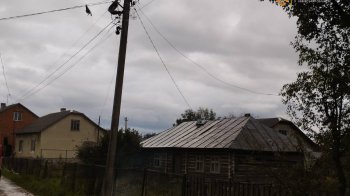 На Львівщині горіло лелечине гніздо