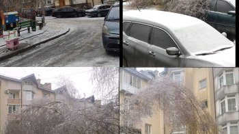 Мешканці Сихова скаржаться на похилені берези у дворі будинку, два дерева вже впали на дитячий майданчик