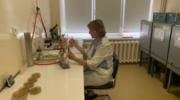 Масове отруєння у Львові: усі постраждалі у реторані Кацуріна їли десерт “Сінгапурський чізкейк”