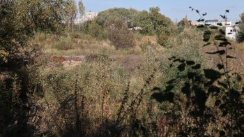 У Львові облаштують парк у пам’ять про полеглих захисників