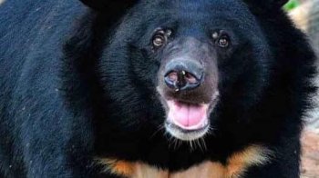 Фото з сайту Львівської митниці