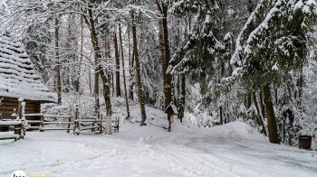 Якою буде погода наприкінці січня