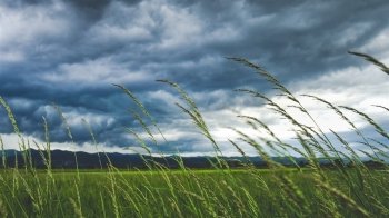 Львів'ян та жителів області попереджають про сильні пориви вітру