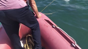 В озері, переповненому відпочивальниками, втопився львів’янин