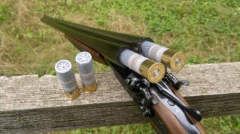 Мешканця Львівщини судили за стрільбу з рушниці по колесах вантажівки