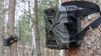 Фотопастка