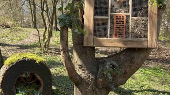 В одному із парків Львова з’явилися екоготелі для комах