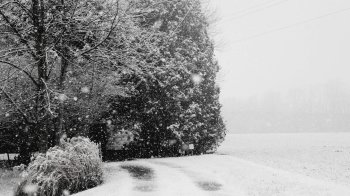 Завтра на Львівщині прогнозують черговий буревій