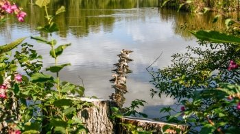 Усі українські заповідники можна переглянути в е-кадастрі. Чому це важливо