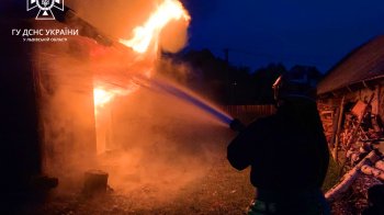 Пожежу гасили 29 хвилин