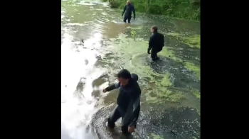 На Львівщині водолази шукали зниклу 71-річну жінку