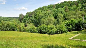 Земельна ділянка