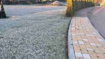 Компанія ексрегіонала Ничипоренка купила за 1,1 млн грн ще одну землю в Східниці