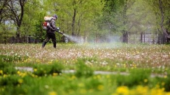 У Львові чотири дні оброблятимуть парки від кліщів