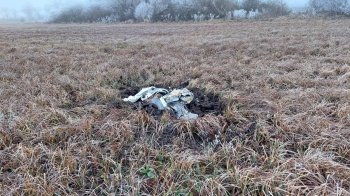 У Молдові впали уламки російської ракети