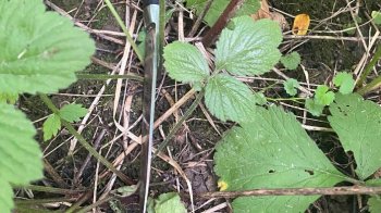 У Винниках затримали нападника з ножем, який вбив жінку в лісопосадці