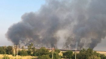 Маріупольські сили спротиву підпалили поля, щоб зерно не викрали окупанти
