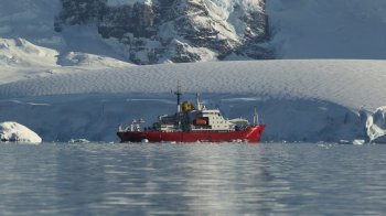 Українські вчені в Антарктиді вперше записали звуки рідкісних китів