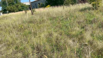 Дві ділянки під забудову в Радехові за понад 500 тис. грн придбав один покупець