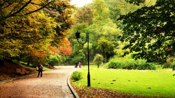 Ландшафтна дизайнерка з Маріуполя створить для Стрийського парку клумбу з червоною рутою та ялівцем (відео)