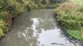 Річка Зубра