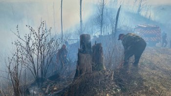 Лісова пожежа на Закарпатті, фото ДСНС