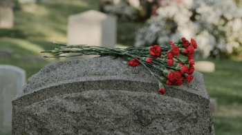 Мешканцю Львівщини винесли вирок за крадіжку квітів з могили