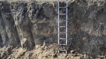 Прикордонники затримали двох ухилянтів, які тікали за кордон з драбиною