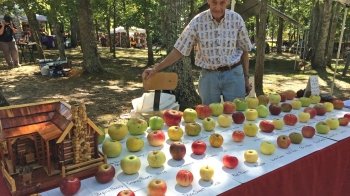 «Мисливець за яблуками» відновив 1200 сортів зниклих яблунь