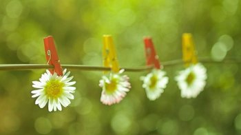 Без дощу: що кажуть синоптики про вівторок, 3 травня