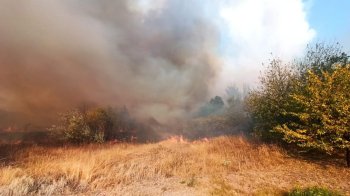 Фото  умовне