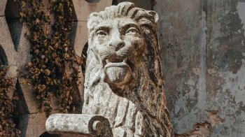 Скульптура лева з території санаторію повернули до дворика львівської Ратуші