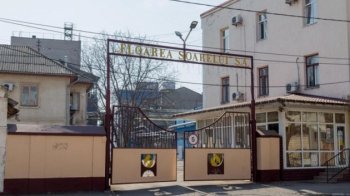 Молдовська компанія Floarea Soarelui зупинила виробництво олії через нестачу українського насіння соняшнику