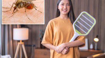 Запах людини перетворює її на магніт для комарів: результати дослідження