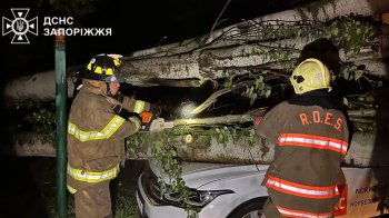 Працівники ДСНС прибирають повалені вітром дерева