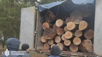 Незаконна вирубка дерев