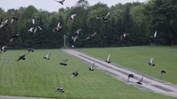 У Львові з Марсового поля перепоховають останки військових радянської армії