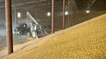 Російські окупанти знищили 6 зерносховищ в Україні