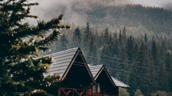 Ажіотаж навколо Карпат: чому так важко знайти місце для відпочинку в гірських районах Львівщини?