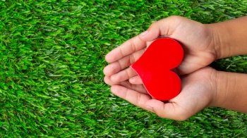 Врятувати Вікторію: на площі перед університетом Франка відбувається благодійний ярмарок