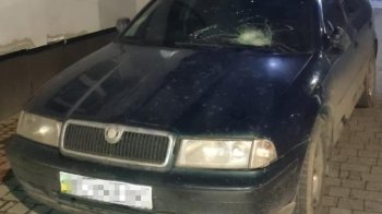 У Львові на вулиці Панча водій «Шкоди» збив жінку