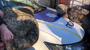 Затримання зловмисників